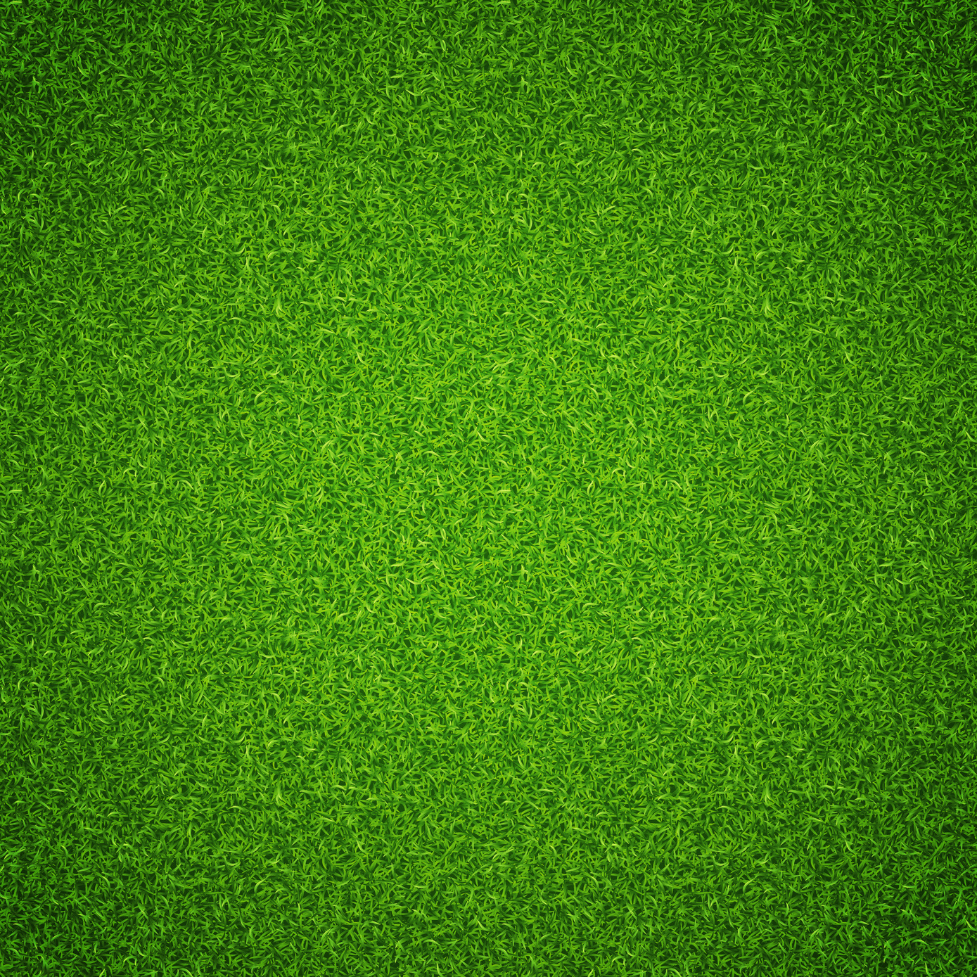 Green grass texture background.
